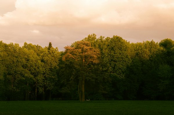Santé sexuelle chez les femmes : comprendre et optimiser